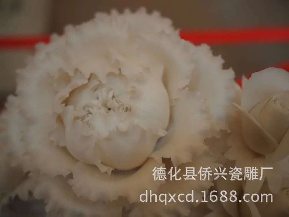 PC313449