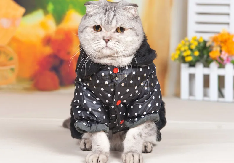 Doudoune chat Clearance