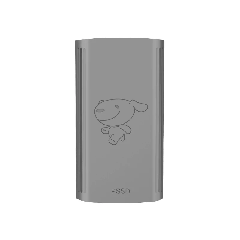  DM Externe SSD festplatte 1 TB SSD 256 GB 512 GB Tragbare SSD Externe festplatte hdd für laptop mit