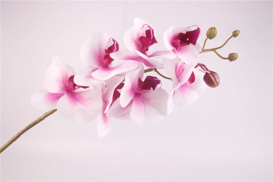 Орхидея фаленопсис, настоящий цветок на ощупь, белый искусственный Шелковый цветок, свадебное украшение, орхидеи, Цветочный, для рождественской вечеринки