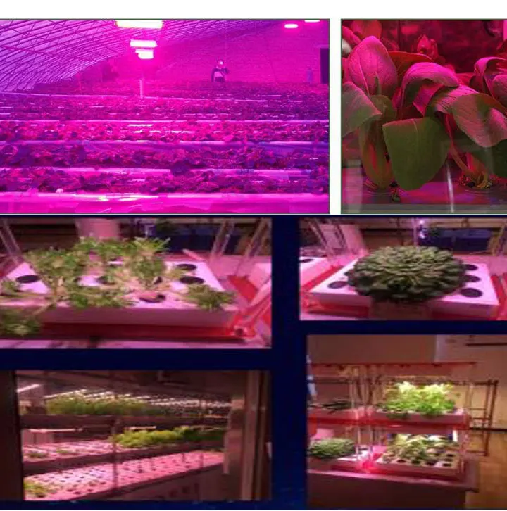 ac-dc_10