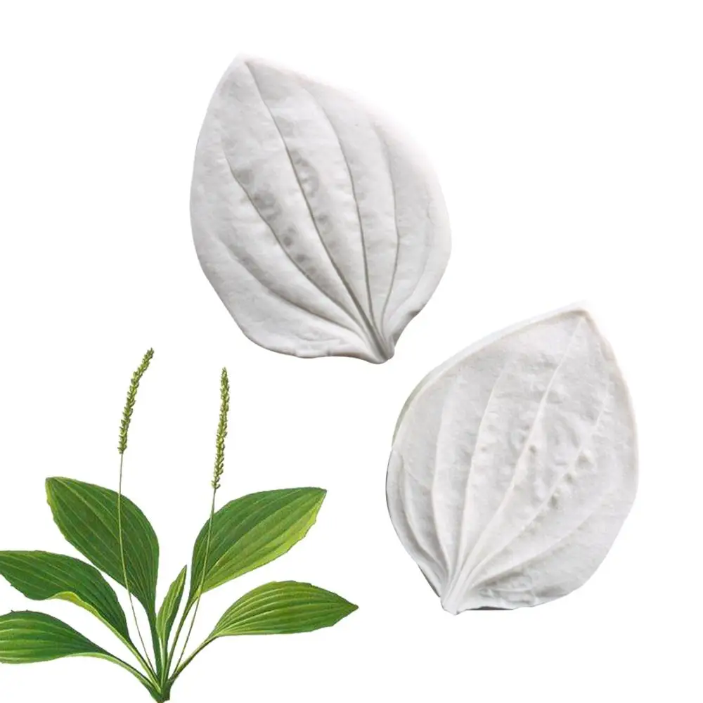 

Plantain leaves Food grade Silicone Mold Cake Border Fondant Cake Decorating Tool Baking Cookie Chocolate Candy Mould