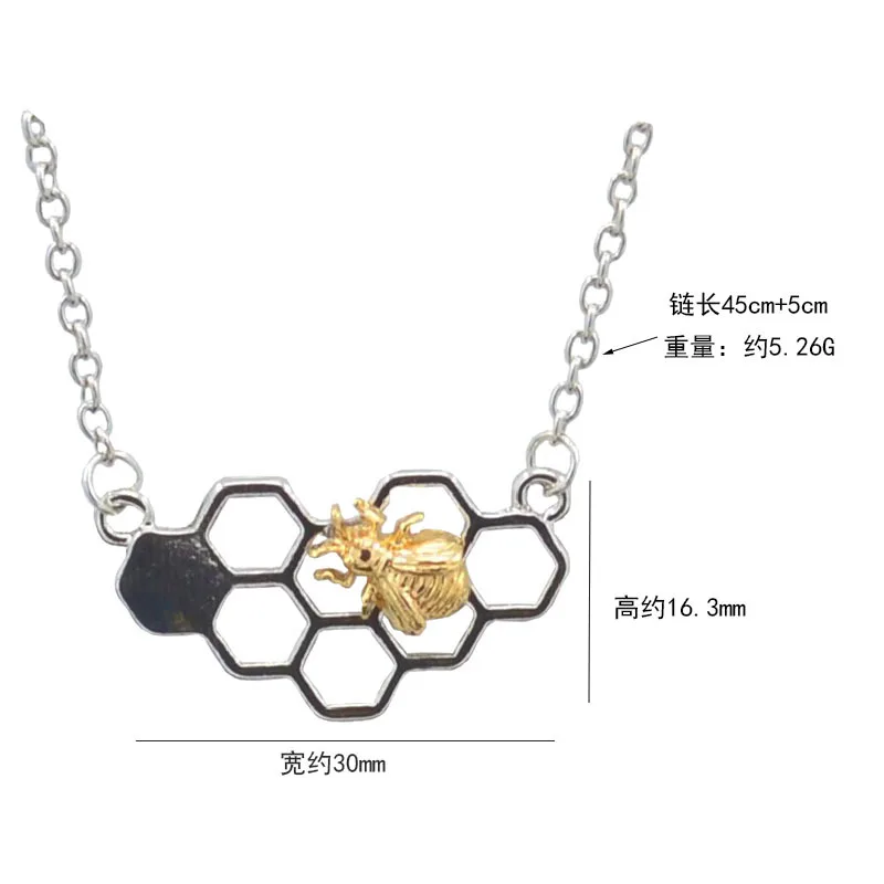 XL027 (3)