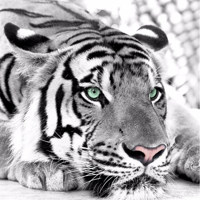 Beibehang写真の壁紙虎黒と白の動物壁画玄関寝室のテレビの背景の壁壁画壁紙 Photo Wallpapers Tiger Wallpaper Tigerwall Paper Aliexpress