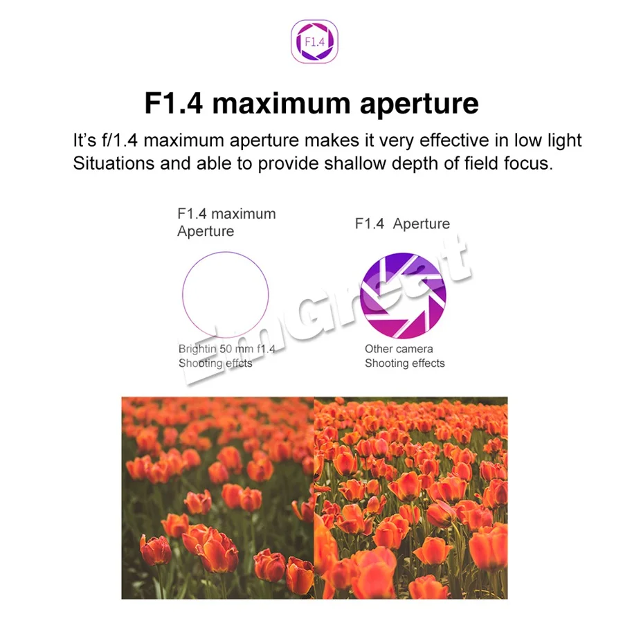 Brightin Star 50 мм F1.4 Prime объектив с большой апертурой ручной объектив с сумкой для sony E-mount для Fuji/M4/3 Mount беззеркальная камера