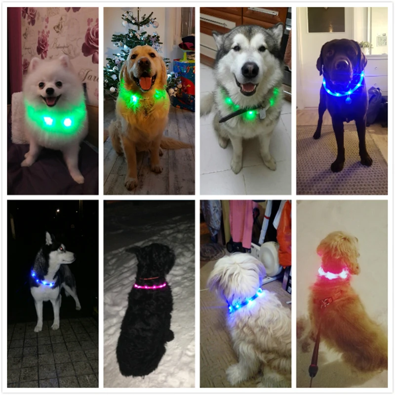 Pet Dog Collar Safety Glow Luminous LED Flashing Lights Neck Strap Gifts #