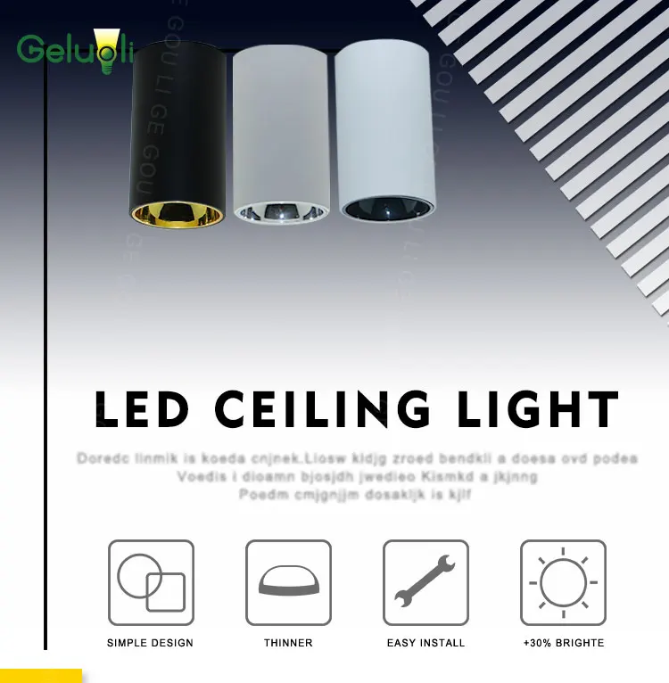 CEILING LAMP_01 (1)