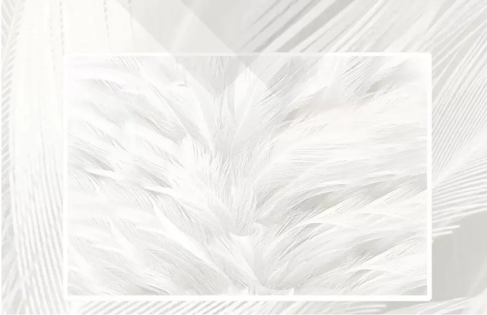 QQ20181105190829