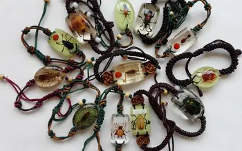 

1pc necklace insect plant sea animal specimen artificial amber paperweight specimen