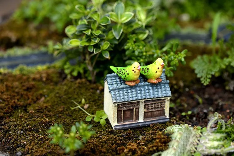 2142733407_393786582