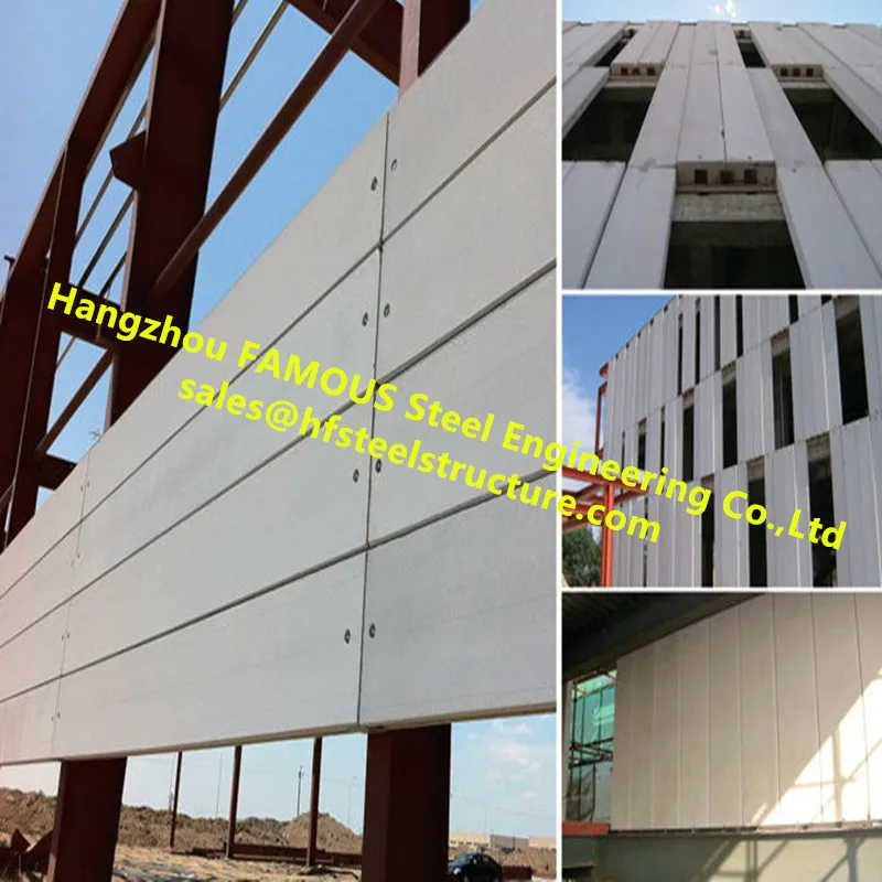 

Large Industrial Plant Project By FASEC Prefab-I Panel For Exterior Wall Panel And Partition Blocks