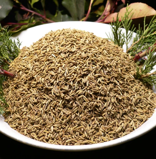 Cumin Seed 30 Seeds Of Each Pack Cummin Cuminum Cyminum Aromatic Plants