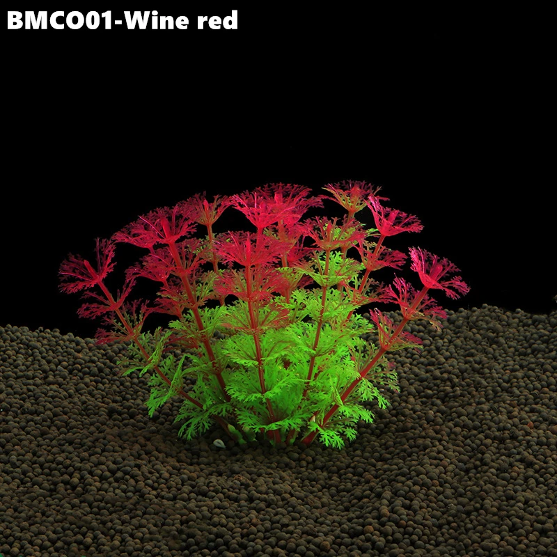 BMCO02 (9)