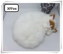 かわいい実生活黄色ヘッド猫モデルプラスチック & 毛皮睡眠猫の人形のギフト約 25 × 21 センチメートル xf1377(China)