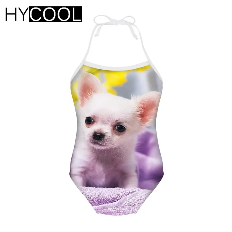 HYCOOL/Одежда для купания для девочек; милые Боди с принтом Чихуахуа; слитный детский купальник; летний купальный костюм; пляжная одежда для плавания - Цвет: R2095BS