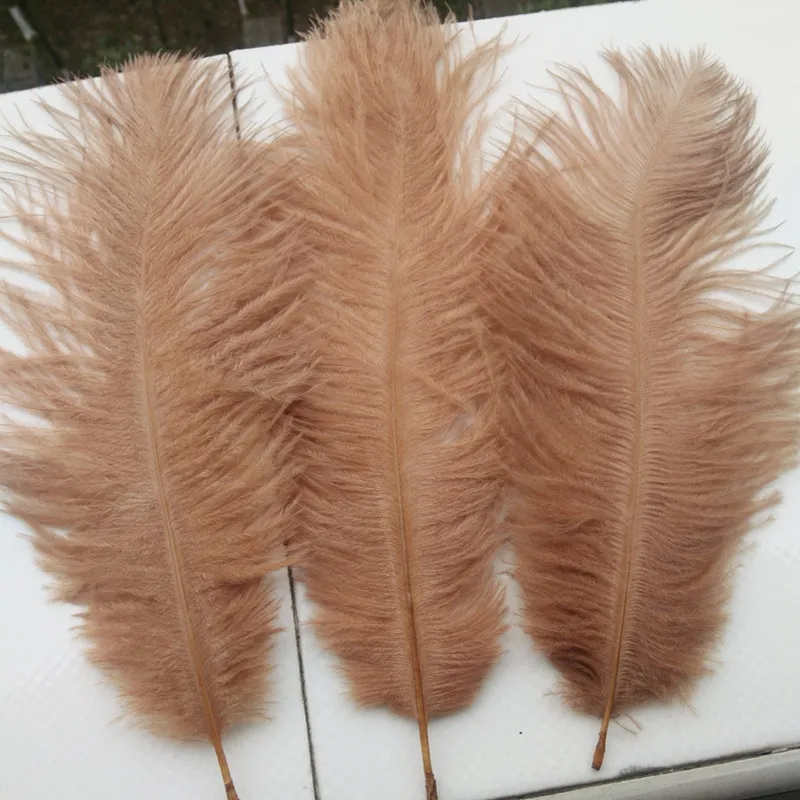 Красивые 10 шт страусиные перья Длинные 6-8 дюймов 15-20 см 24 цвета на выбор - Цвет: Light brown