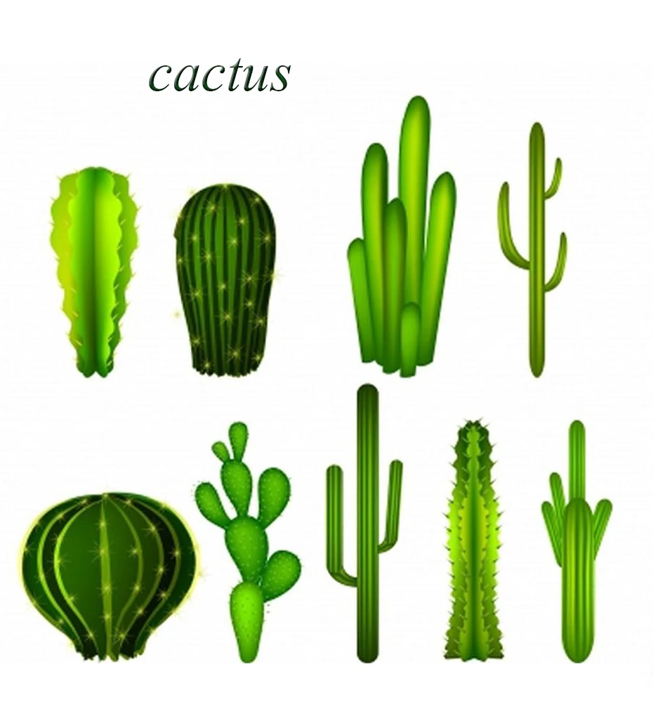 Mini Succulent Plant magnets for refrigerators for Kitchen 01