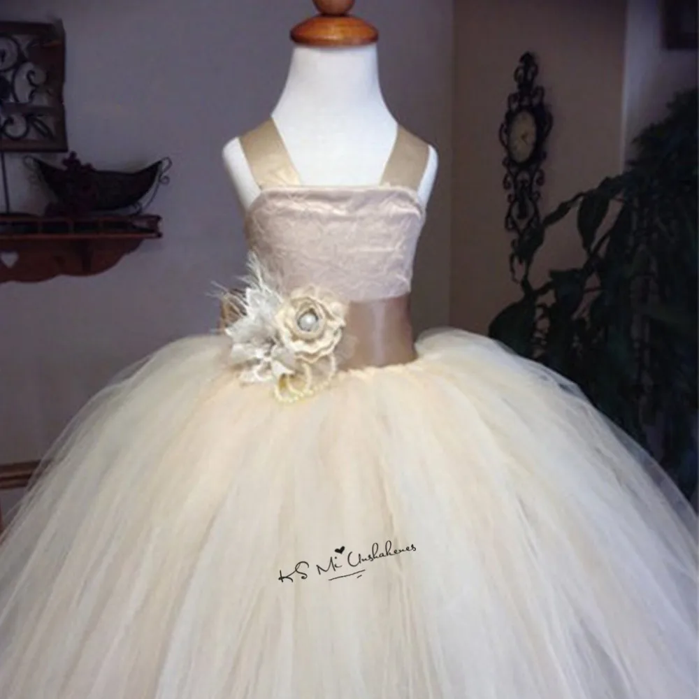 P318 (1)