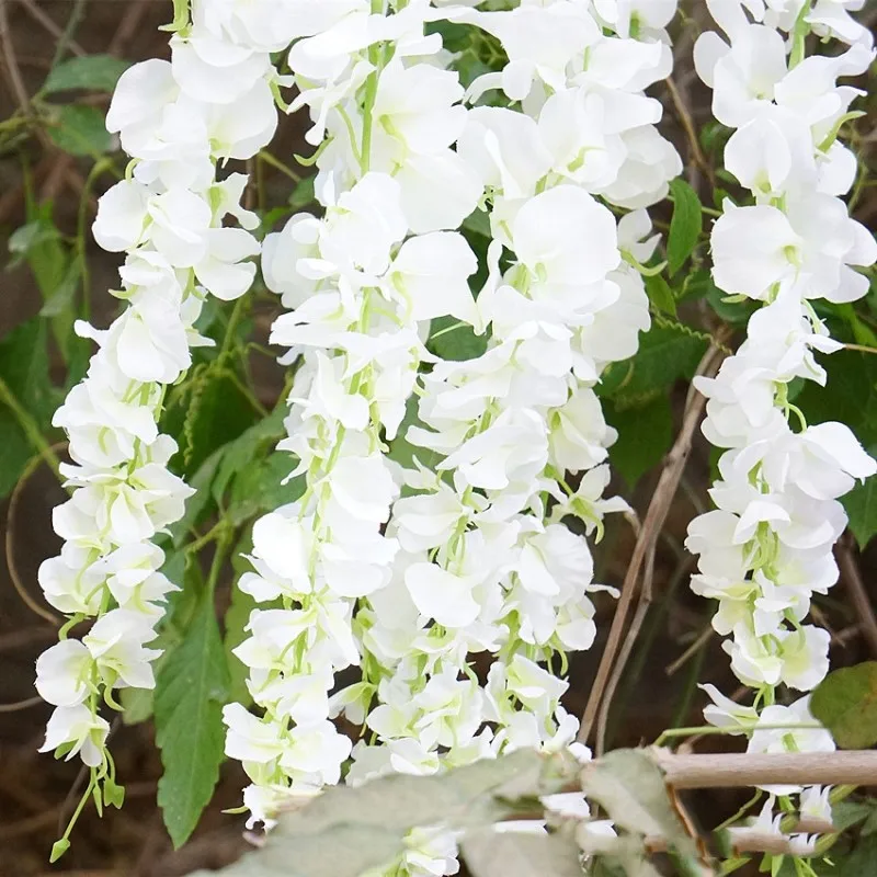 

120CM Wisteria Bean Vine Artificial Flower Vine Simulation Flower Silk Flower for Wedding Party Scene Stage Decor Fake Flowers