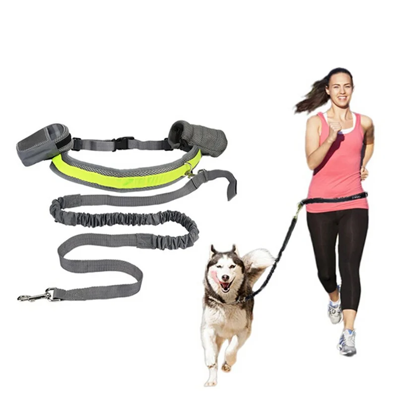 dog running leash hands free dog leash hands free sport style pet