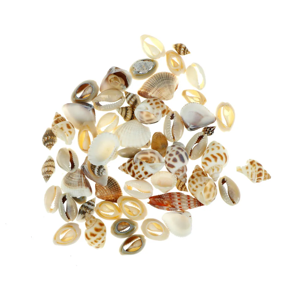 

1bag(30g) Natural DIY Craft Aquarium Fish Tank Small Conch Sea Shell Landscape Home Decor Random Style