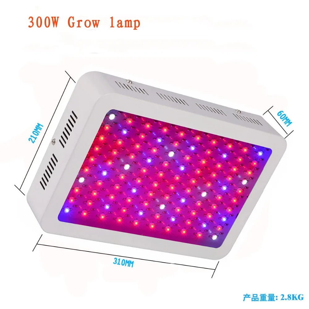 300W