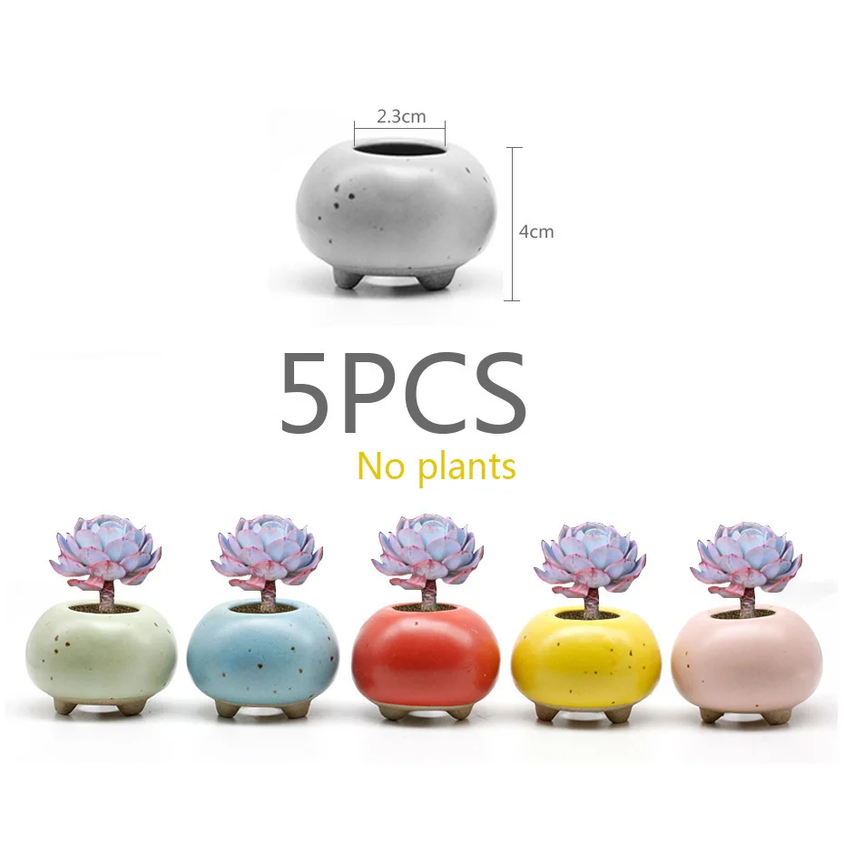 

5PCS 34 Shapes Home Furnishings Pottery Fleshy Plants Flowerpots Meatballs Potted Plants Mini Pots Garden Office Decorations