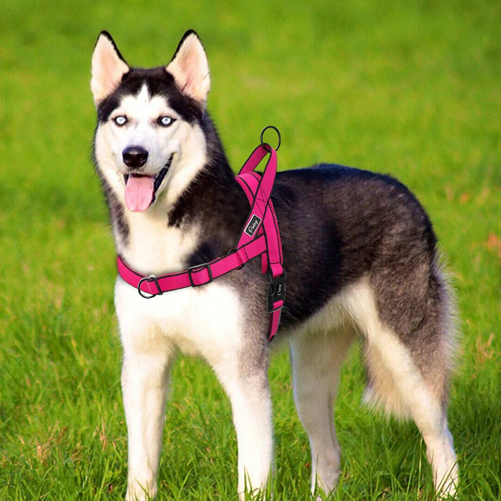 Поводок для собак, не тянется, регулируемый, дышащий, шаг в ходьбе, для домашних животных, сетка, ремни для средних и больших собак, питбулы, розовый, красный, черный