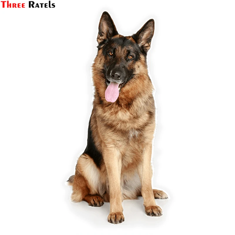 

Three Ratels LCS354# 7.5x15.3cm German Shepherd colorful car sticker funny car stickers styling removable decal