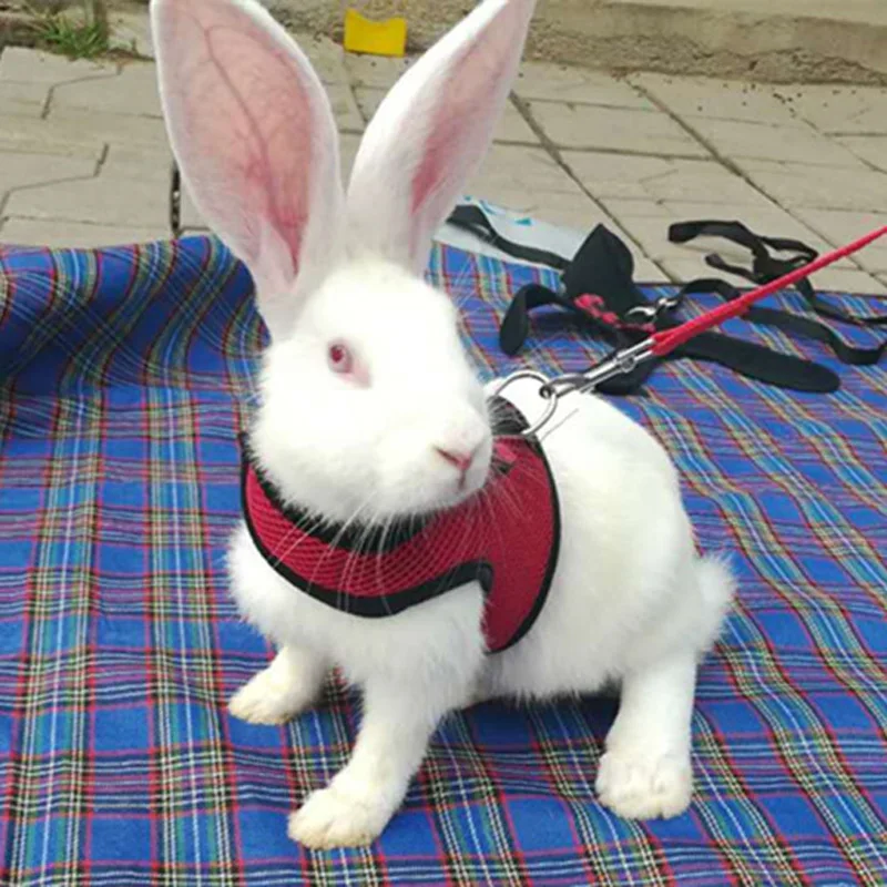 4681054970_542807004