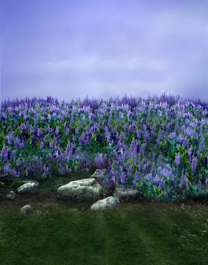 

5x7ft Purple Flowers Photography Backdrops Photo Props Studio Background
