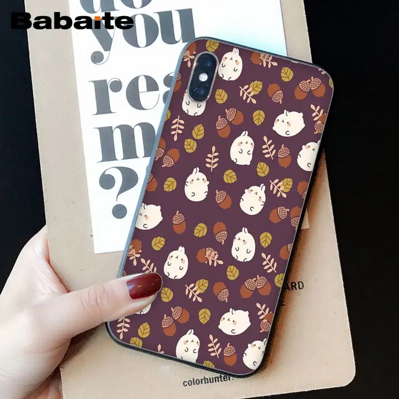 Kawaii Molang  Anime dog Cartoon cat