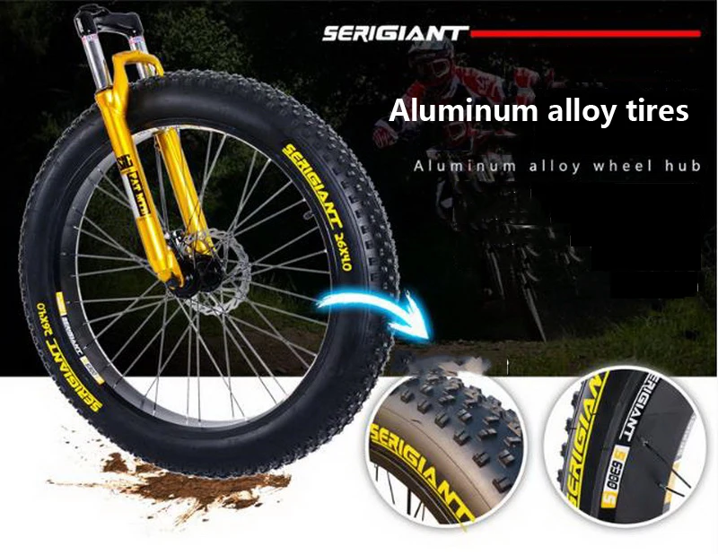 36020170223135357079