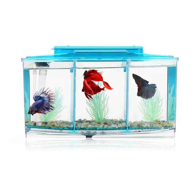 acrylic three splits aquarium