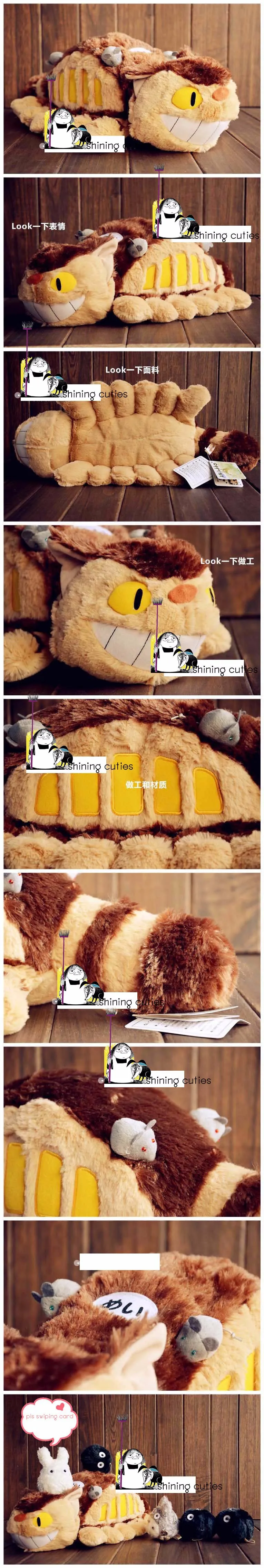 cat bus 5