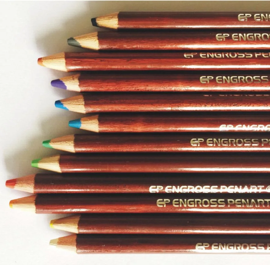 12 Non toxic Professional Soft Pastel Pencils Drawing Sketches Colored