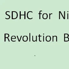 2019 Dropshipping para R4 oro Pro SDHC para Nintendo DS/3DS/2DS/revolución caja con adaptador USB