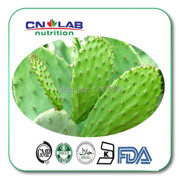 Free Shipping 300g natural plant extract powder Cactus powder Opuntia