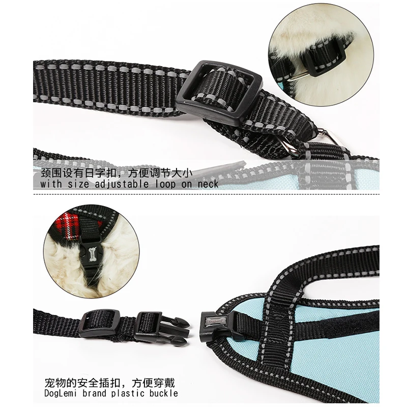 Harnesses-12-15
