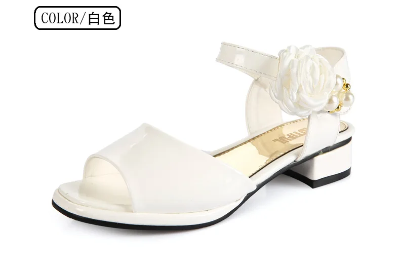 b21