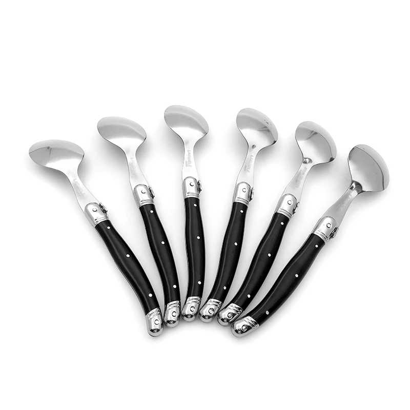 Black dinner spoon set  (2)