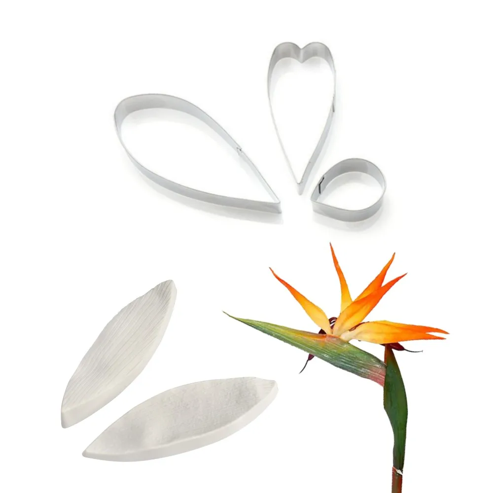 Strelitzia-1