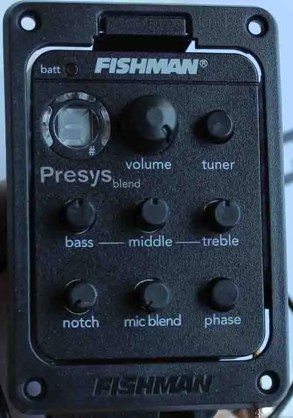 FISHMAN presys blend 301 (2)