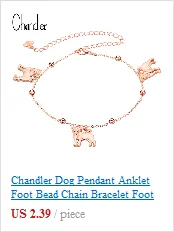 Chandler женский браслет-цепочка на лодыжку собачья лапа Сандалеты пляжные бижутерия для ног сплав цинка 30 см ножной браслет