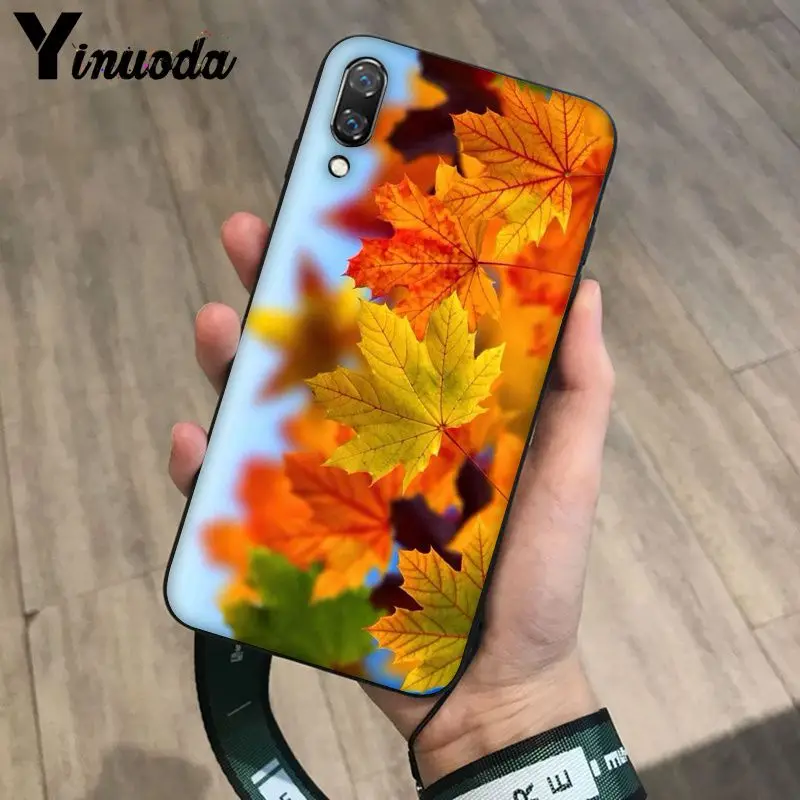 Deciduous maple leaf