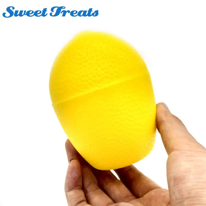 Sweettreats Lemon / Lime Saver Plastic See Through Container Holder
