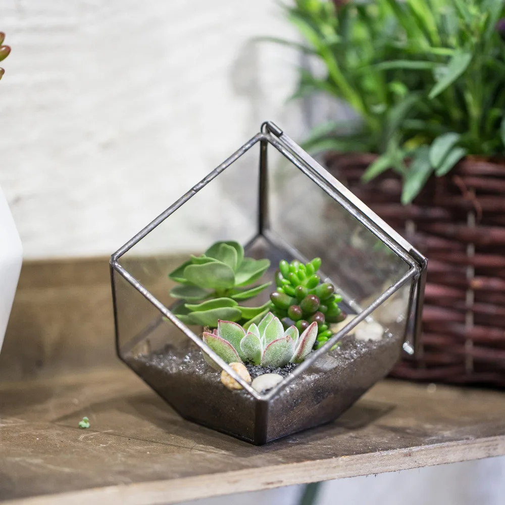Geometric Cubes Glass Terrarium Plant Fleshy Flower Holder Vase Pot Room Decors 