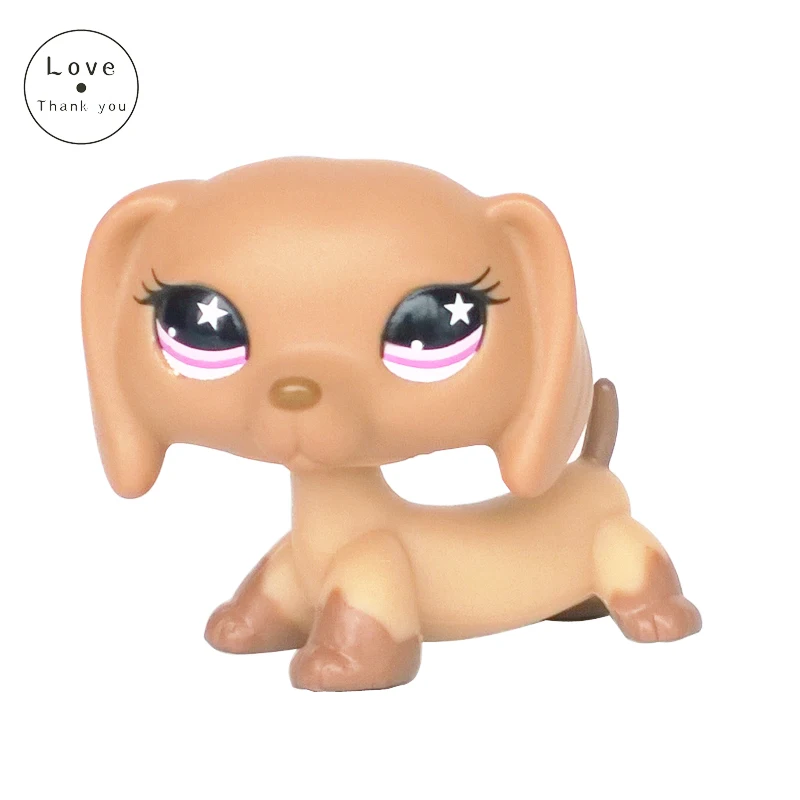 

DACHSHUND #932 Bronw sausage dog star pink eyes