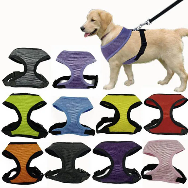 shipping puppies by air ᗐfree ship 10 ჱ colors colors 5 sizes available high ᐃ quality quality mesh shipping puppies by air ᗐfree ship 10 ჱ colors colors 5 sizes available high ᐃ quality quality mesh