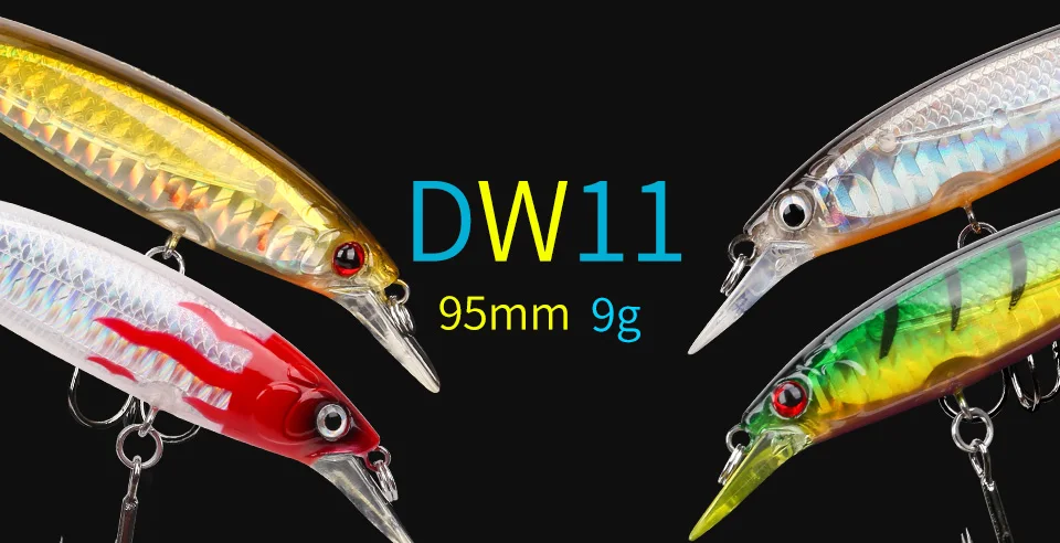 DW11--Y_01